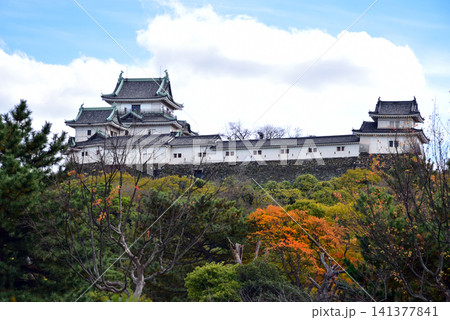 和歌山城の天守閣 和歌山城の天守閣 141377841