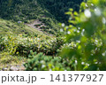 北アルプス太郎平キャンプ場 141377927