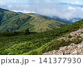 北アルプス　薬師岳方面から太郎平小屋 141377930