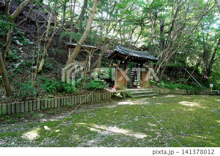 愛知県常滑市_大野城址5_2025年7月 愛知県常滑市_大野城址5_2025年7月 141378012