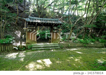 愛知県常滑市_大野城址7_2025年7月 141378014