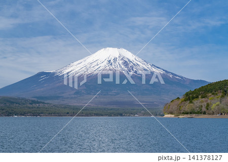 山中湖湖畔の平野の浜から望む富士山の春の風景 山中湖湖畔の平野の浜から望む富士山の春の風景 141378127