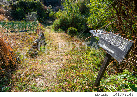 出羽島　西廻り遊歩道の早春の風景2　徳島県海部郡牟岐町 141378143