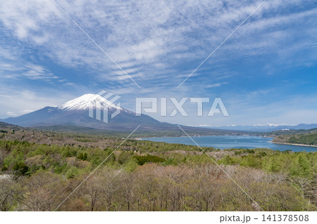 山中湖パノラマ台から望む富士山と新緑の春の風景 141378508