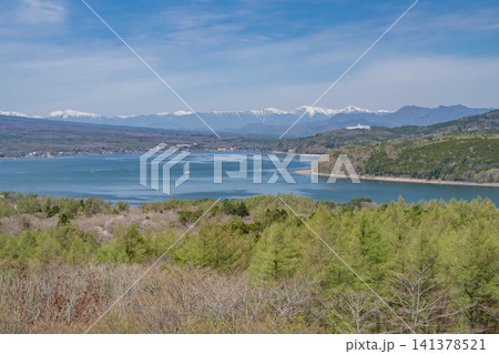 山中湖パノラマ台から望む山中湖と南アルプスの春の風景 山中湖パノラマ台から望む山中湖と南アルプスの春の風景 141378521