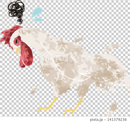 病気や体調不良で衰弱しているニワトリのイラスト（家畜衛生・鳥インフルエンザ・手書き風） 141379236