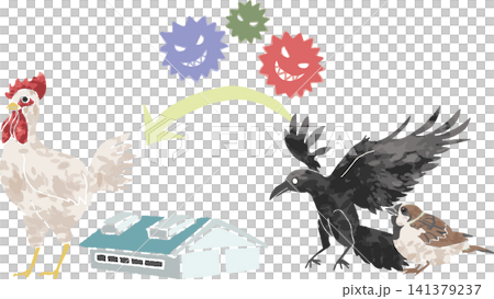 野鳥(スズメ・カラス)から鶏へウイルスが感染するイメージイラスト(鳥インフルエンザ・経路・防疫) 野鳥(スズメ・カラス)から鶏へウイルスが感染するイメージイラスト(鳥インフルエンザ・経路・防疫) 141379237