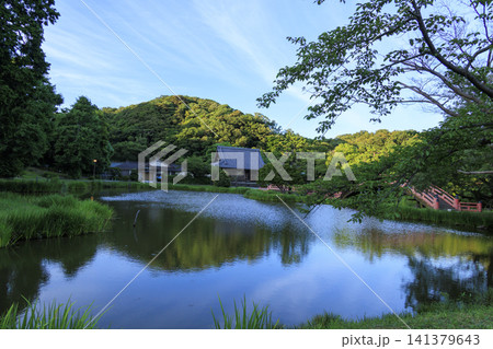 神奈川県横浜市金沢区金沢文庫の隣の称名寺の夏 141379643