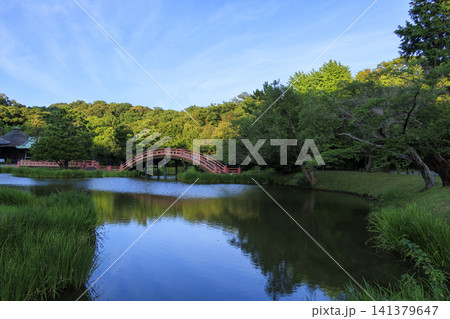 神奈川県横浜市金沢区金沢文庫の隣の称名寺の夏 神奈川県横浜市金沢区金沢文庫の隣の称名寺の夏 141379647