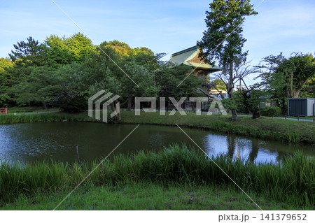 神奈川県横浜市金沢区金沢文庫の隣の称名寺の夏 神奈川県横浜市金沢区金沢文庫の隣の称名寺の夏 141379652