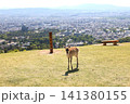 若草山山頂から見下ろす鹿1 141380155