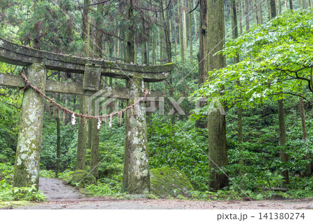 深い緑の森に佇む苔むした石鳥居と続く参道（パワースポット） 141380274