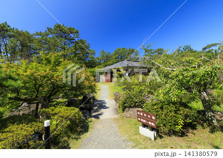 葉山しおさい公園の夏 141380579