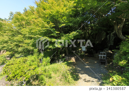 葉山しおさい公園の夏 141380587