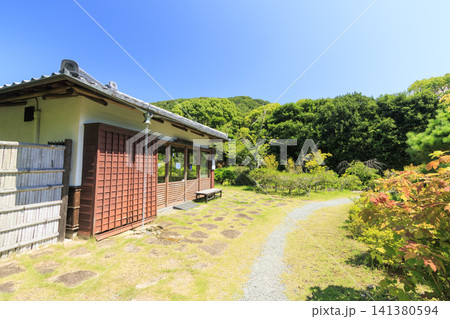 葉山しおさい公園の夏 141380594