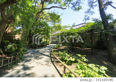 葉山しおさい公園の夏 葉山しおさい公園の夏 141380596