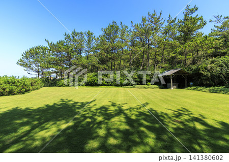 葉山しおさい公園の夏 141380602