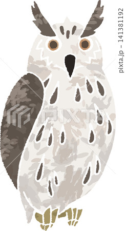 オオコノハズク・フクロウの手書き風イラスト（猛禽類・野鳥・森の生き物・カラー） 141381192