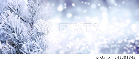 Horizontal Christmas background with pine branch, covered with frost. Holiday winter banner with frozen branches of fir tree. Festive banner featuring a frosted fir branch at abstract glitter lights Horizontal Christmas background with pine branch, covered with frost. Holiday winter banner with frozen branches of fir tree. Festive banner featuring a frosted fir branch at abstract glitter lights 141381845