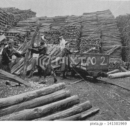 古写真 1951年 長崎の軍艦島 端島炭坑の坑木の貯木場(現役で稼働していた頃) 古写真 1951年 長崎の軍艦島 端島炭坑の坑木の貯木場(現役で稼働していた頃) 141381969