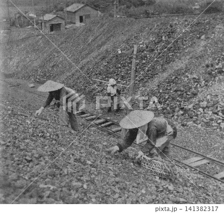 古写真　1951年　福岡県　筑豊炭田のボタ山（岩石廃棄物の山）から使える石炭を拾う人々 141382317