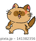 怒るたぬき顔の猫ちゃん 141382356