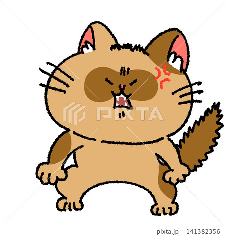 怒るたぬき顔の猫ちゃん 141382356