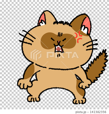 怒るたぬき顔の猫ちゃん 141382356