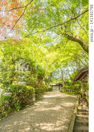 「京都府」(7月)【観光地】京都府日本三大祭の祇園祭 古き良き街並みを散策する 「京都府」(7月)【観光地】京都府日本三大祭の祇園祭 古き良き街並みを散策する 141382798
