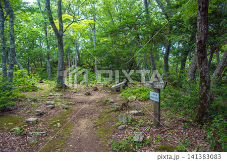 滋賀 小谷城 山王丸跡 滋賀 小谷城 山王丸跡 141383083