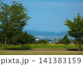 ひまわりの季節 141383159