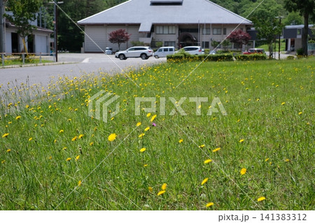 北広島町芸北支所裏庭の景色 北広島町芸北支所裏庭の景色 141383312