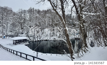 Snowy woodland pond reflecting the dark winter water Snowy woodland pond reflecting the dark winter water 141383567