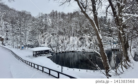 Quiet forest pond surrounded by heavily snow covered trees Quiet forest pond surrounded by heavily snow covered trees 141383568
