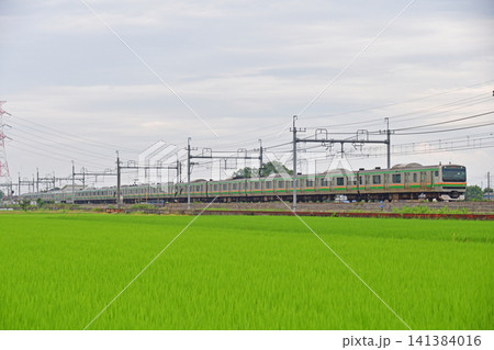 東北本線　東鷲宮ー栗橋　JR東日本　E231系1000番台　U63編成（小山） 141384016