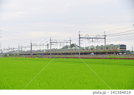 東北本線 東鷲宮ー栗橋 JR東日本 E231系1000番台 U2編成(小山) 東北本線 東鷲宮ー栗橋 JR東日本 E231系1000番台 U2編成(小山) 141384019