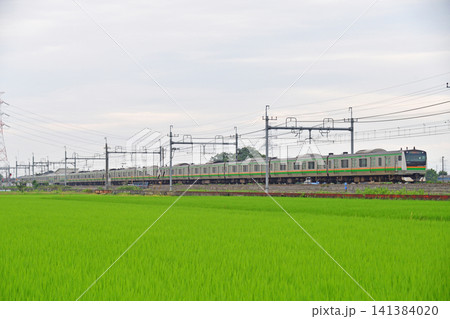 東北本線 東鷲宮ー栗橋 JR東日本 E233系3000番台 U223編成(小山) 東北本線 東鷲宮ー栗橋 JR東日本 E233系3000番台 U223編成(小山) 141384020