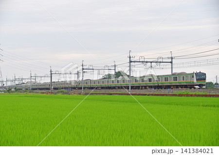 東北本線 東鷲宮ー栗橋 JR東日本 E233系3000番台 U234編成(小山) 東北本線 東鷲宮ー栗橋 JR東日本 E233系3000番台 U234編成(小山) 141384021