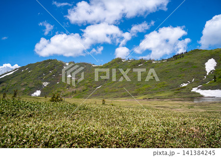 初夏の火打山 残雪と黒沢池 初夏の火打山 残雪と黒沢池 141384245