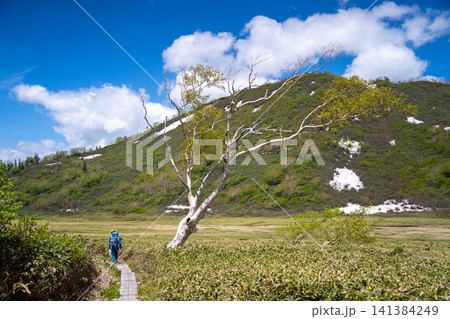 初夏の火打山（妙高・新潟）と黒沢池 141384249