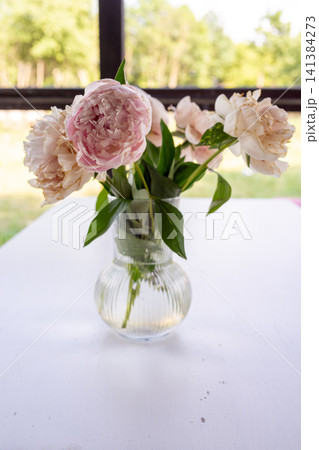 Pink and white peonies in clear glass vase on bright table beside window with soft blurred garden view and fresh green leaves creating elegant indoor floral decor 141384273