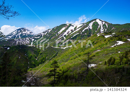 初夏の火打山(妙高・新潟) 初夏の火打山(妙高・新潟) 141384324
