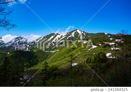 初夏の火打山 雪残る稜線と新緑 初夏の火打山 雪残る稜線と新緑 141384325
