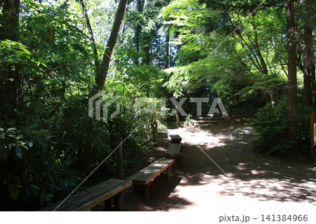 高尾山 小仏城山 一丁平 高尾山 小仏城山 一丁平 141384966