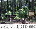 高尾山　小仏城山　一丁平 141384990
