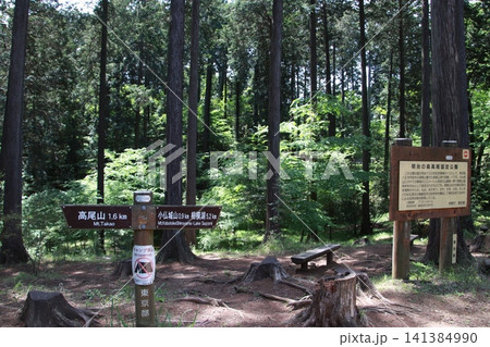 高尾山 小仏城山 一丁平 高尾山 小仏城山 一丁平 141384990