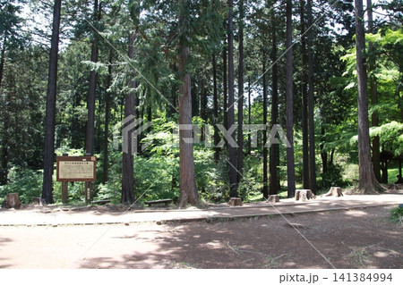 高尾山 小仏城山 一丁平 高尾山 小仏城山 一丁平 141384994