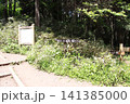 高尾山　小仏城山　一丁平 141385000