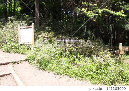 高尾山 小仏城山 一丁平 高尾山 小仏城山 一丁平 141385000