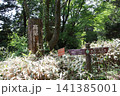 高尾山　小仏城山　一丁平 141385001